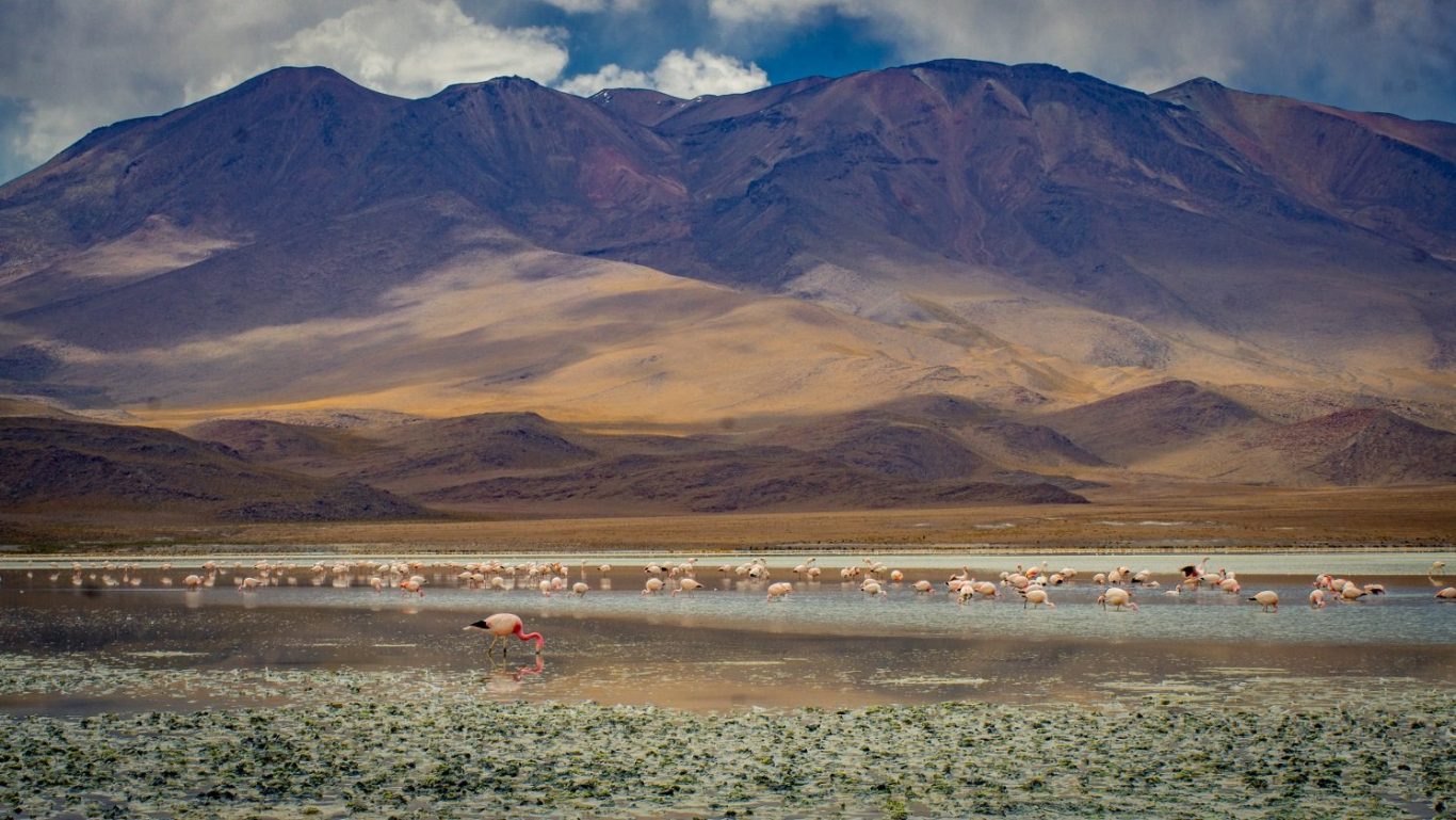 “Laguna hedionda”, 2022. De la serie “Bolivia”.
