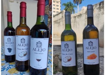 Botellas de Vinos Alejo, que produce el joven científico cubano Freddy Rojas Thomas. Foto: Prensa Latina.