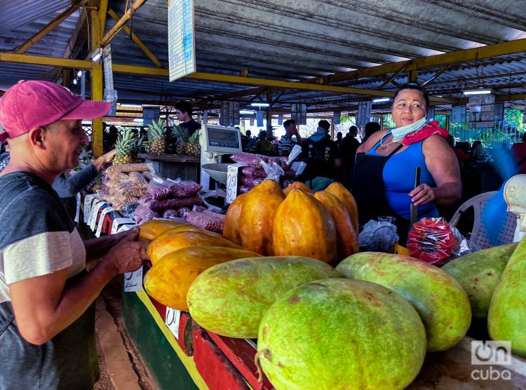 Un puesto cubano con productos agrícolas. Foto: Kaloian/Archivo.