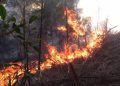 Imagen de archivo de incendio forestal en el oriente de Cuba. Foto: Periódico Venceremos / Archivo.