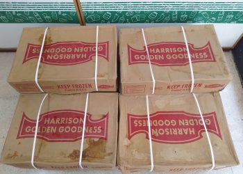 Cajas de pollo importado en Cuba. Foto: Archivo.