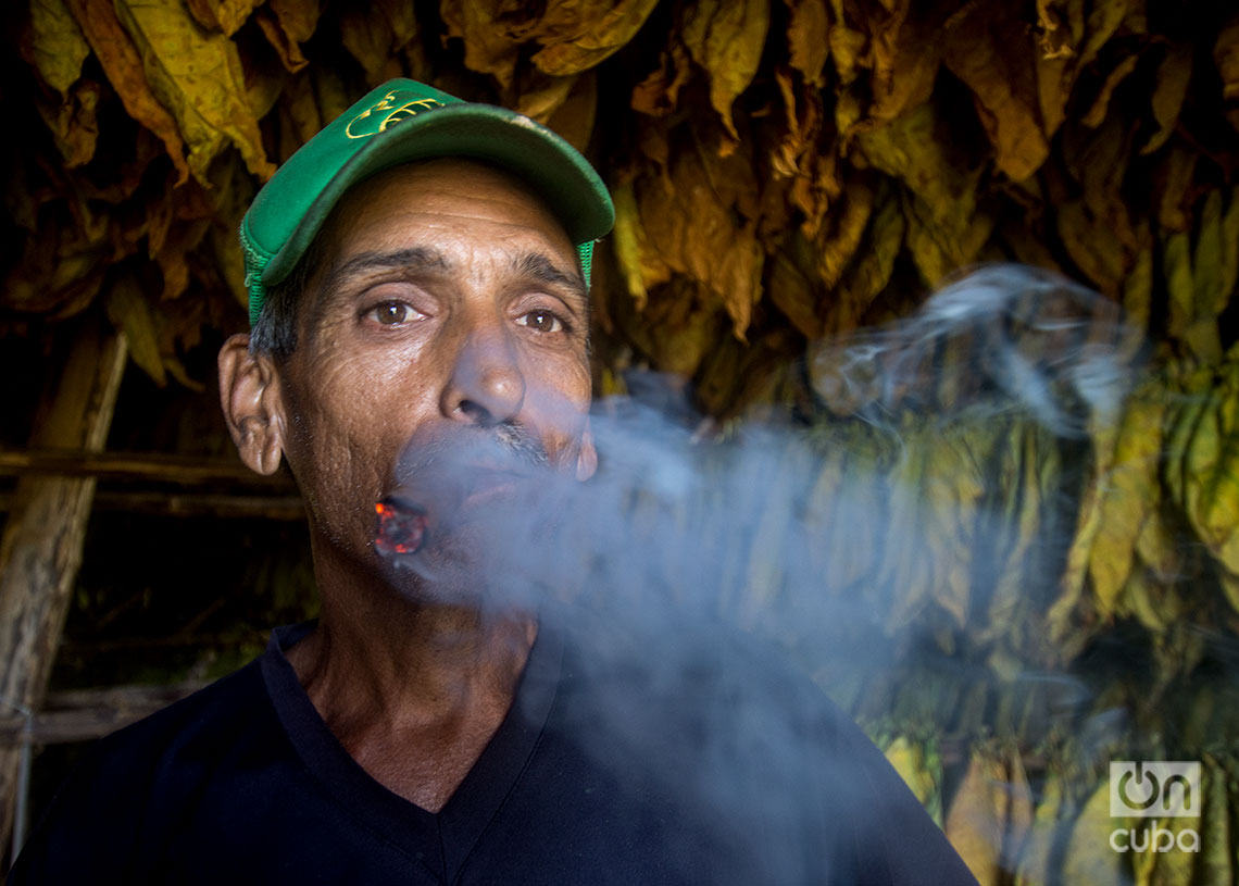 Un veguero fumando tabaco en el Hoyo de Monterrey, San Juan y Martínez, Pinar del Río. Foto: Otmaro Rodríguez.