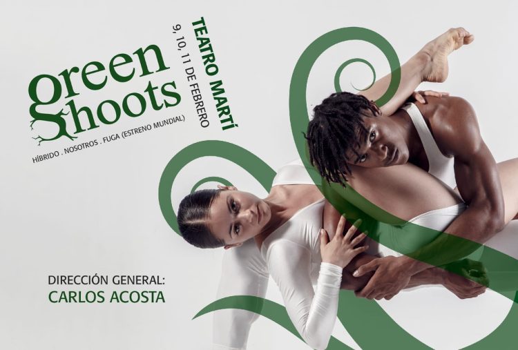 green shoots acosta danza yunior 1