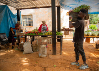 Cuba alimentos