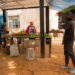 Cuba alimentos