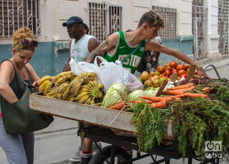 Un vendedor de productos agrícolas (carretillero) en La Habana. Foto: Otmaro Rodríguez.