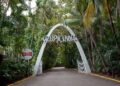 Entrada al cabaret Tropicana. Foto. M. Highsmith