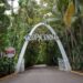 Entrada al cabaret Tropicana. Foto. M. Highsmith