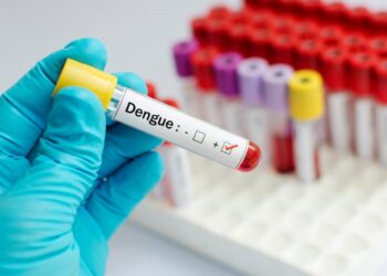 dengue