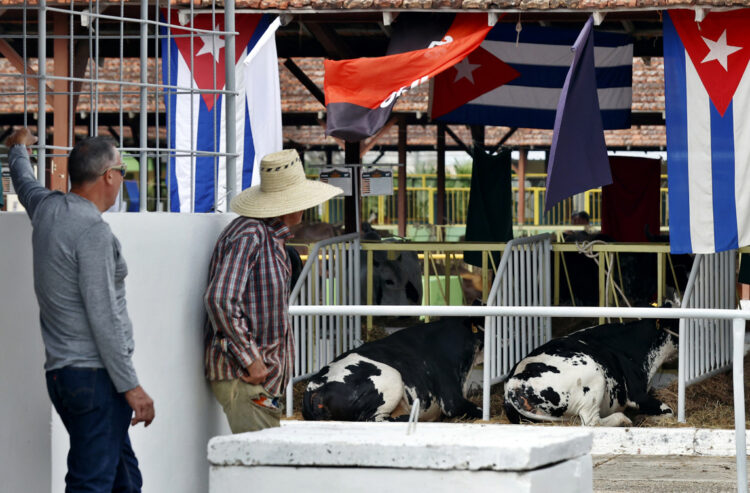 Inicia en La Habana la Feria Internacional Agroindustrial Alimentaria (Fiagrop). Foto: Ernesto Mastrascusa/EFE.