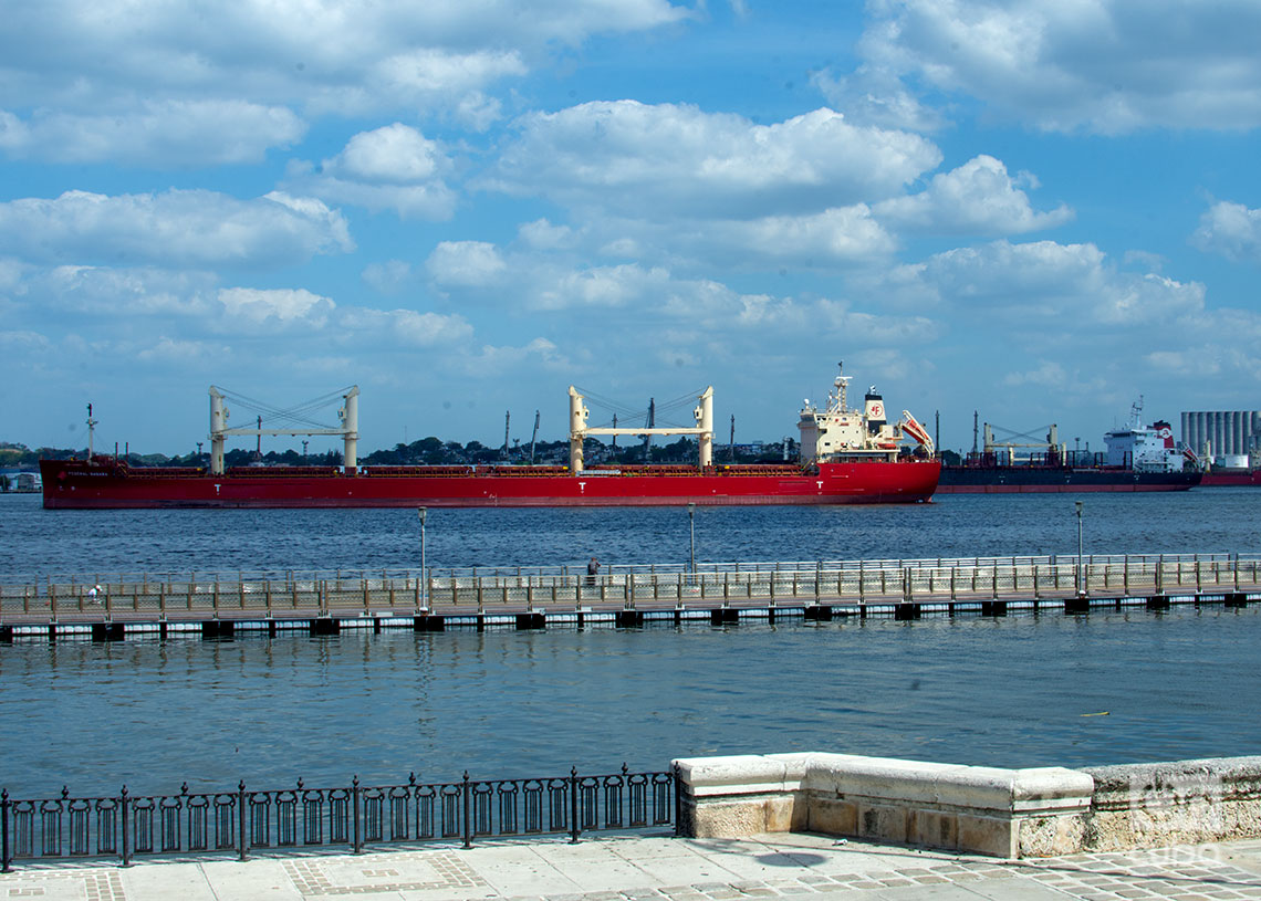 Cargo ships in the port of Havana. Photo: Otmaro Rodríguez.