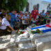 Día del Perro en Cuba, peregrinación a la tumba de la destacada activista social Jeannette Ryder. Foto: Otmaro Rodríguez