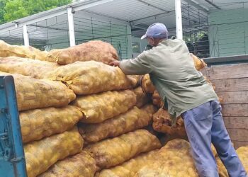 Cargamento de más de seis toneladas de papa decomisado en Las Tunas. Foto: Periódico 26.