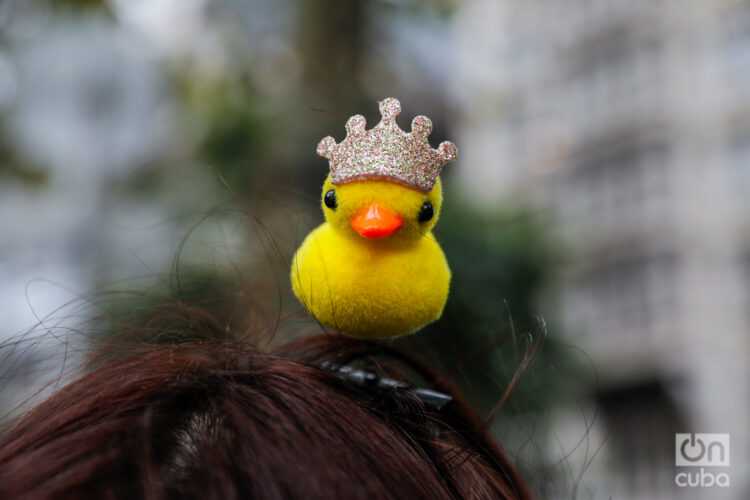 Un patico decorado con una corona. Foto: Kaloian.