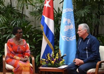Encuentro entre Winnie Byanyima, directora ejecutiva de ONUSIDA, con el presidente cubano Miguel Díaz-Canel en La Habana, el 6 de mayo de 2024. Foto: @FMC_Cuba / X.