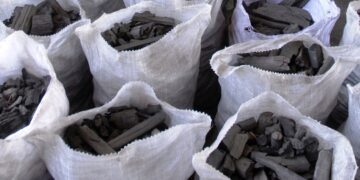 Sacos de carbón vegetal. Foto: Trabajadores / Archivo.