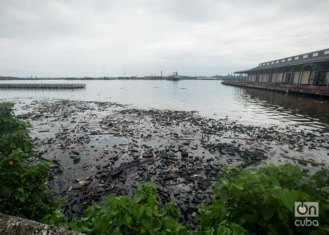 Petróleo y desechos sólidos en la bahía de La Habana, el domingo 23 de junio de 2024. Foto: Otmaro Rodríguez.