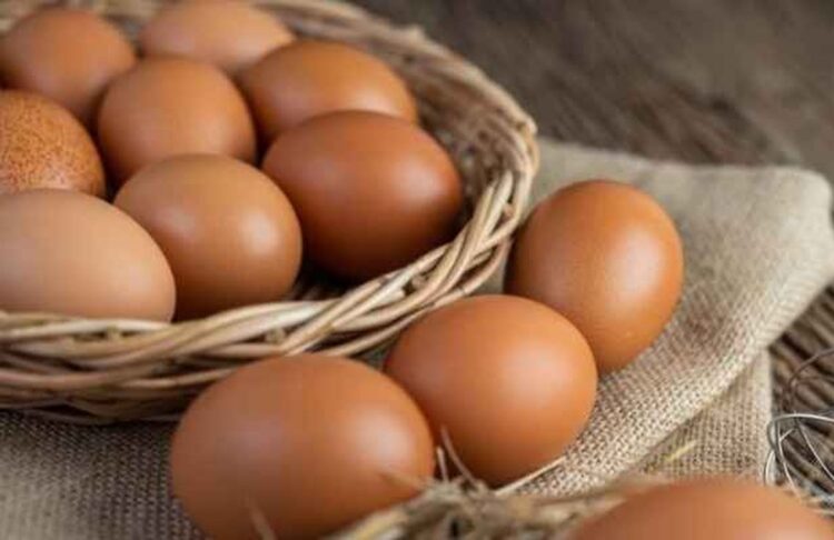 Crecerá la exportación de huevos colombianos a Cuba. Foto: Freepik