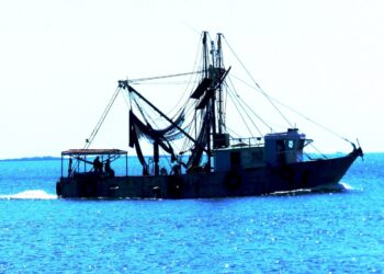 Barco de la flota camaronera cubana. Foto: primiciadiario.com.