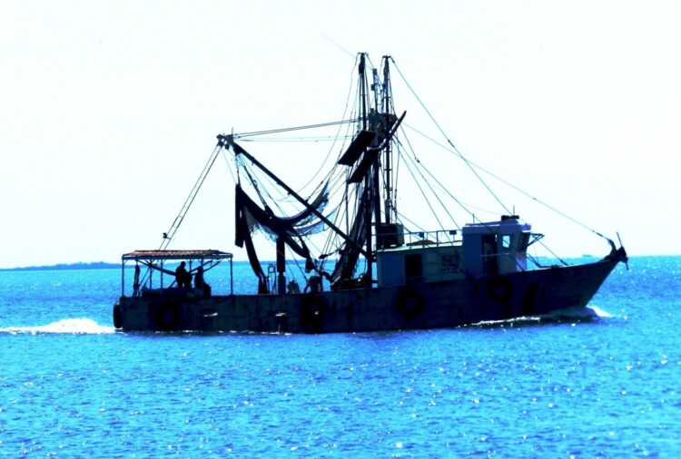 Barco de la flota camaronera cubana. Foto: primiciadiario.com.