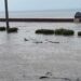 Inundaciones en la zona del malecón de Manzanillo, en Granma, el domingo 23 de junio de 2024. Foto: Tomada del perfil de Facebook de Radio Granma Manzanillo.