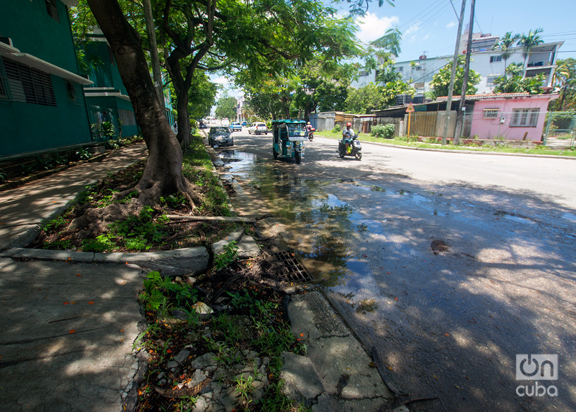 Salidero de agua en la calle Ayestarán, en La Habana. Foto: Otmaro Rodríguez.