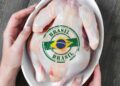 Brasil es el mayor exportador de pollo del mundo, pero esa actividad se ha visto afectada por restricciones derivadas de un caso de gripe aviar en mayo. Foto: Industria Avícola / Archivo.