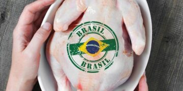 Brasil es el mayor exportador de pollo del mundo, pero esa actividad se ha visto afectada por restricciones derivadas de un caso de gripe aviar en mayo. Foto: Industria Avícola / Archivo.