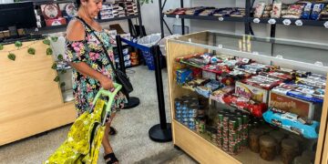 Mipyme comercialización mayorista