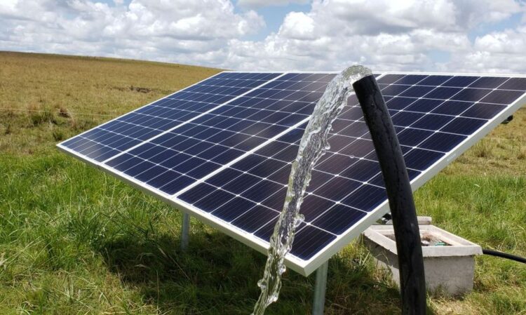 robos paneles solares