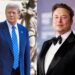 El ex presidente Trump y el magnate y propietario de la red social X, Elon Musk. Foto: Jim Lo Scalzo/Caroline Brehman /EFE.