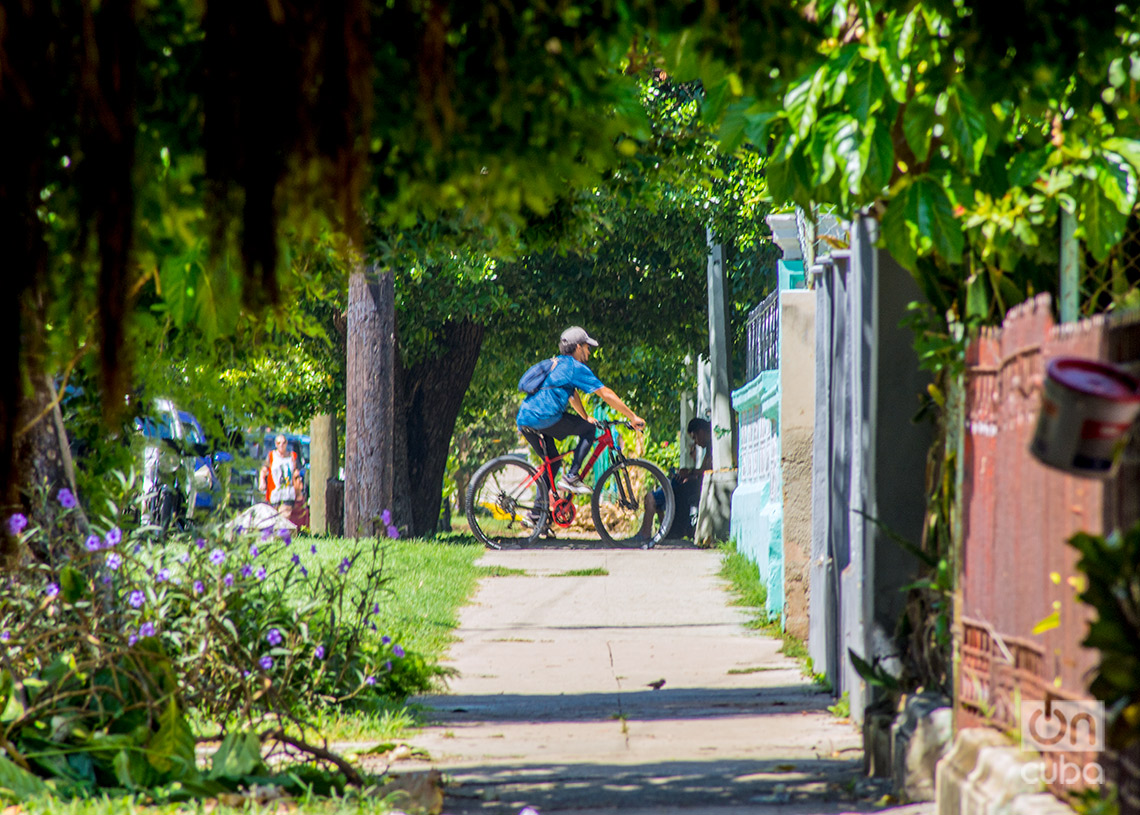 Ciclista en el Vedado. Foto: Otmaro Rodríguez.