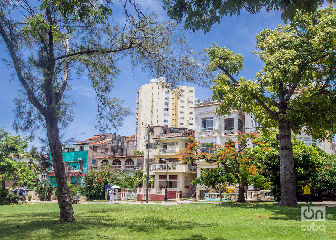 Parque del Vedado. Foto: Otmaro Rodríguez.