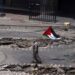 Israel Cisjordania