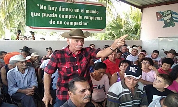 Campesinos de la CCS Pedro Filgueiras, de Aguada de Pasajeros, Cienfuegos. Foto: Juan Carlos Dorado/ 5 de Septiembre.