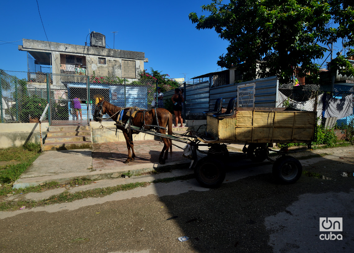 Carreta tirado por un caballo en el reparto Zamora, Marianao, La Habana. Foto: Otmaro Rodríguez.