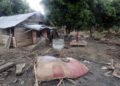 Escombros en el exterior de una vivienda en la región de San Antonio del Sur una semana después del paso de la tormenta tropical Oscar. Foto: Ernesto Mastrascusa / POOL / EFE.