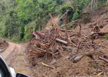 Deslizamiento de tierra en el viaducto de la Farola, por lluvias posteriores al huracán Oscar. Foto: Naturaleza Secreta / Perfil de Facebook de Eduardo Rodríguez Dávila.