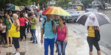 Foto: Trabajadores.