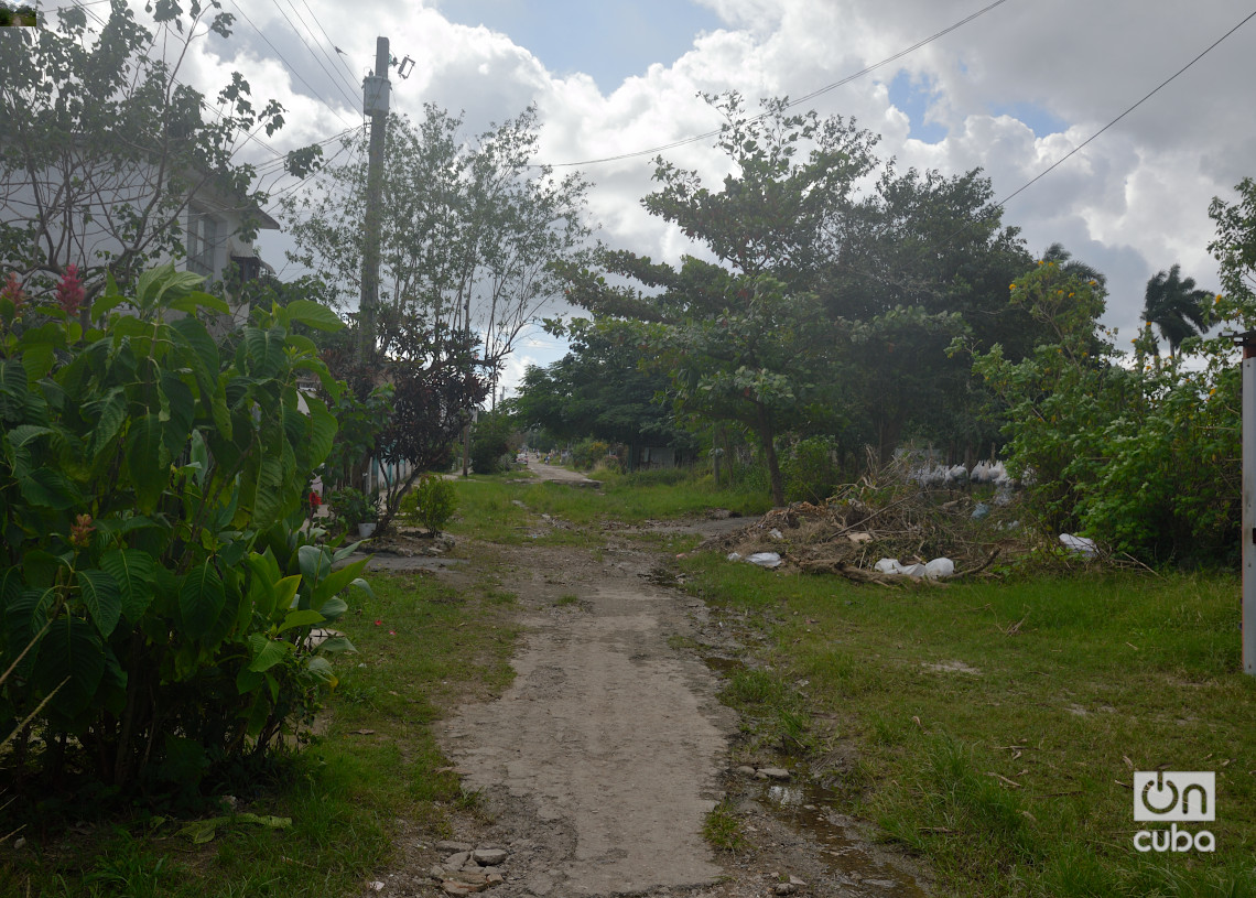 La hierba ha ido ganando terreno en la calle H del reparto Poey, Arroyo Naranjo, La Habana. Foto: Otmaro Rodríguez.