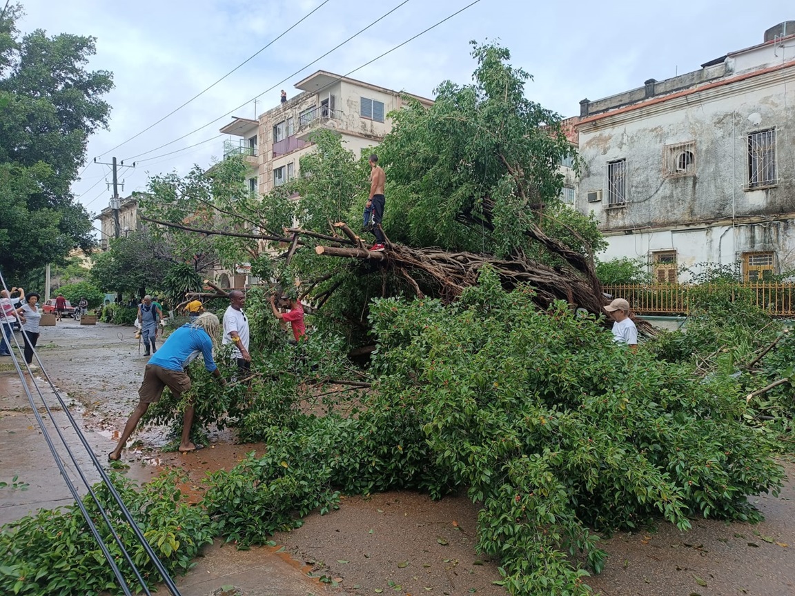 Vecinos cortan árboles derribados por el huracán Rafael en el Vedado, La Habana. Foto: Milena Recio.