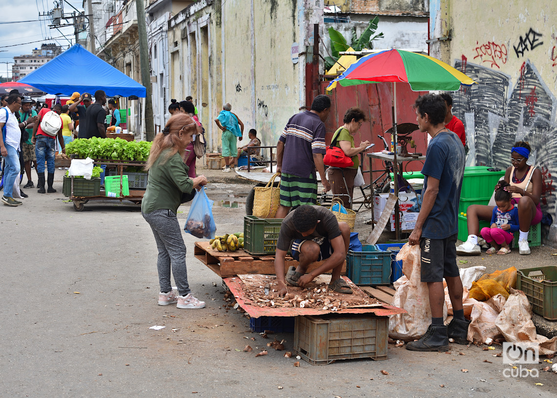 Feria en La Habana, el último fin de semana de 2024. Foto: Otmaro Rodríguez.