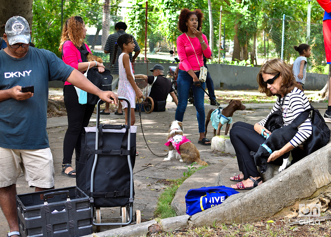 Feria de adopciones e higienización organizada por el grupo Bienestar Animal Cuba (BAC) en el parque de H y 21, en La Habana. Foto: Otmaro Rodríguez.