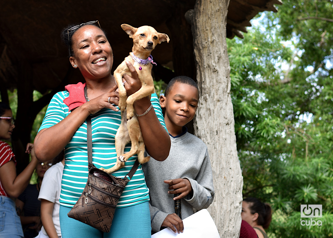 Una madre y su hijo adoptan un perrito en una feria organizada por el grupo Bienestar Animal Cuba (BAC) en el parque de H y 21, en La Habana. Foto: Otmaro Rodríguez.