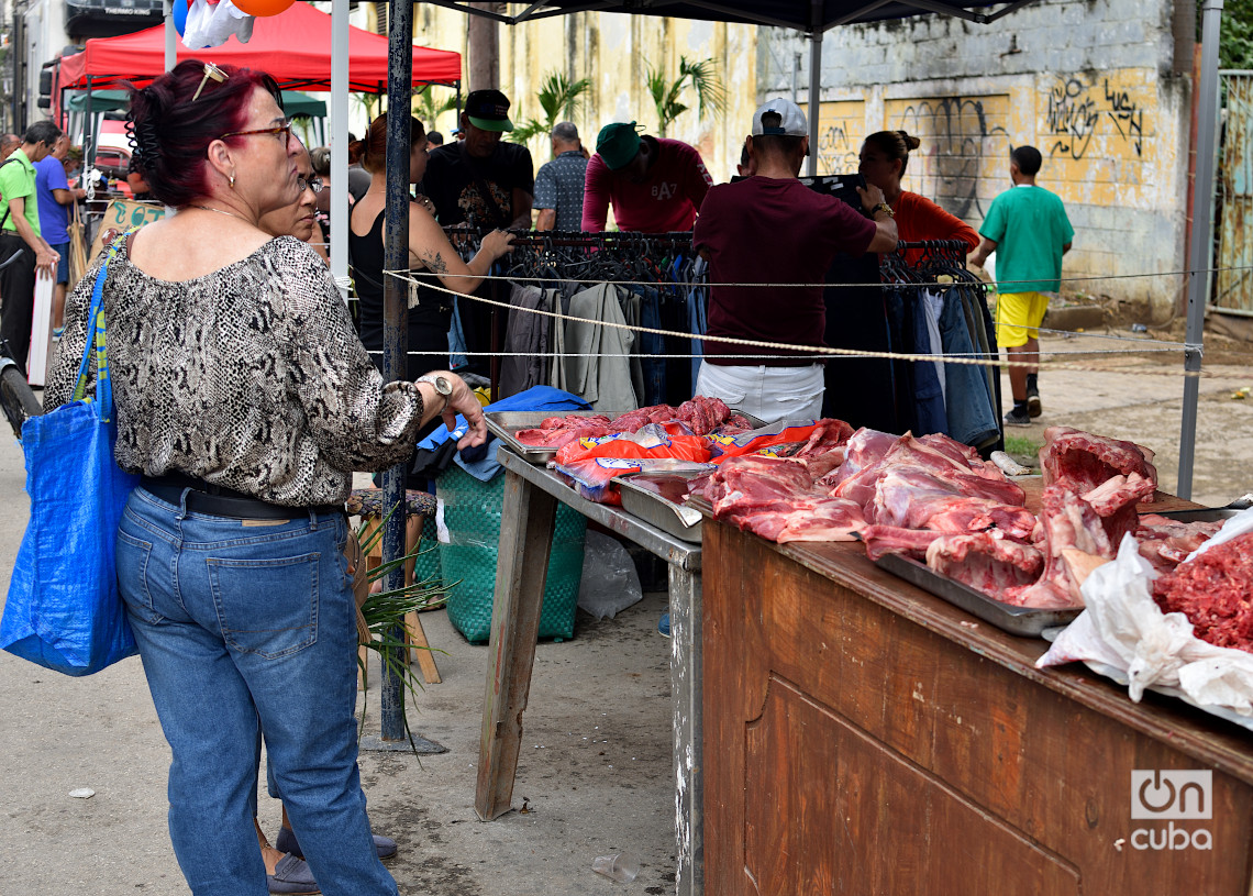 Feria en La Habana, el último fin de semana de 2024. Foto: Otmaro Rodríguez.