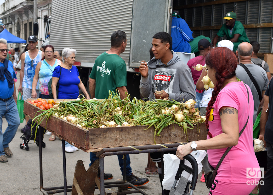 Feria en La Habana, el último fin de semana de 2024. Foto: Otmaro Rodríguez.