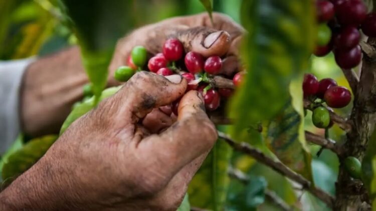 Foto:  Forbes Colombia