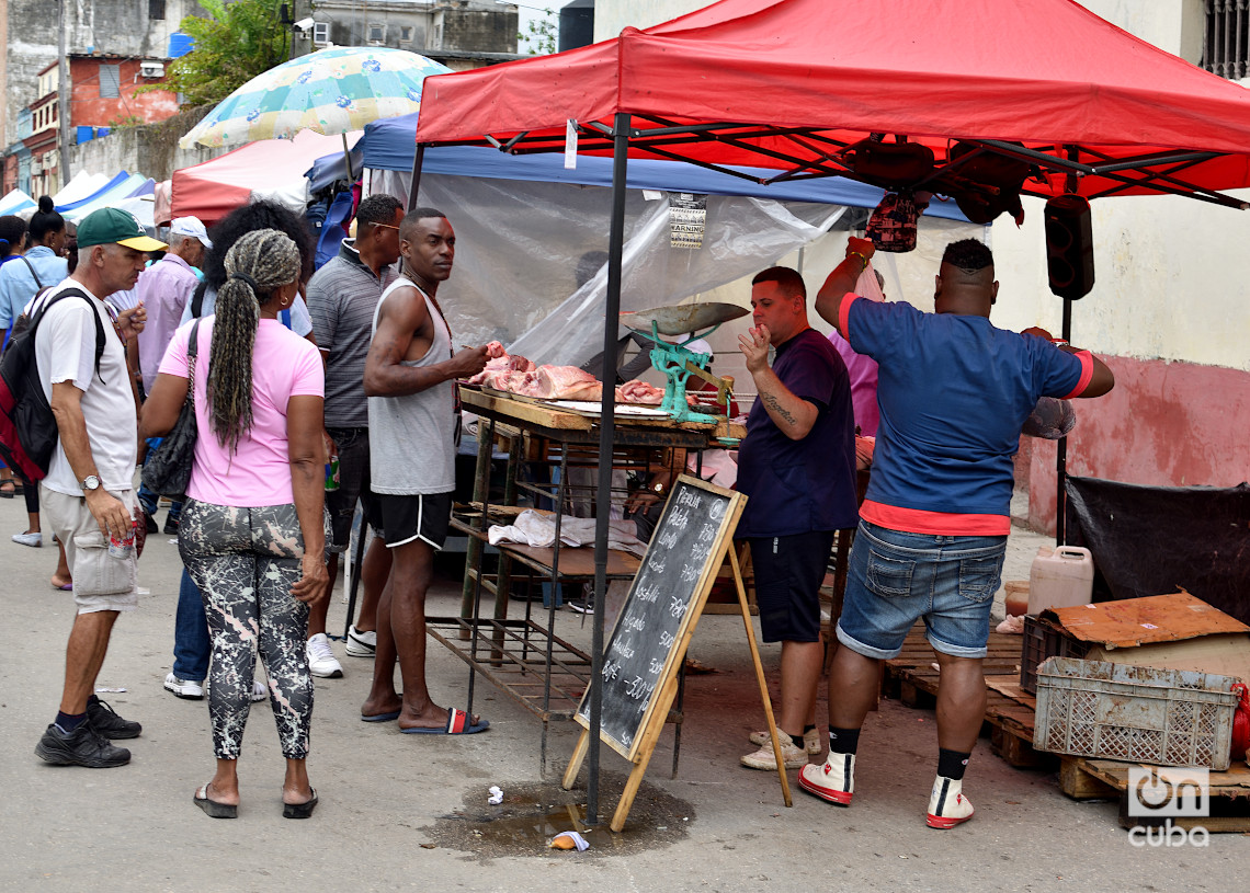 Feria en La Habana, el último fin de semana de 2024. Foto: Otmaro Rodríguez.