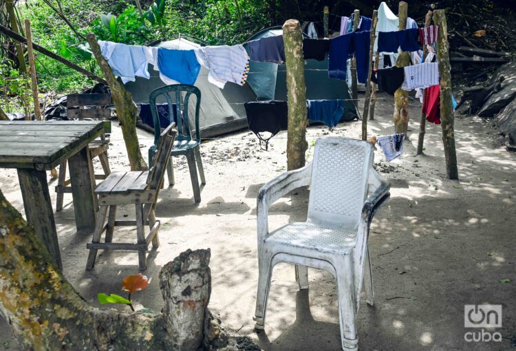 Bien podría ser la imagen de cualquiera de nuestros patios. Foto: Kaloian.