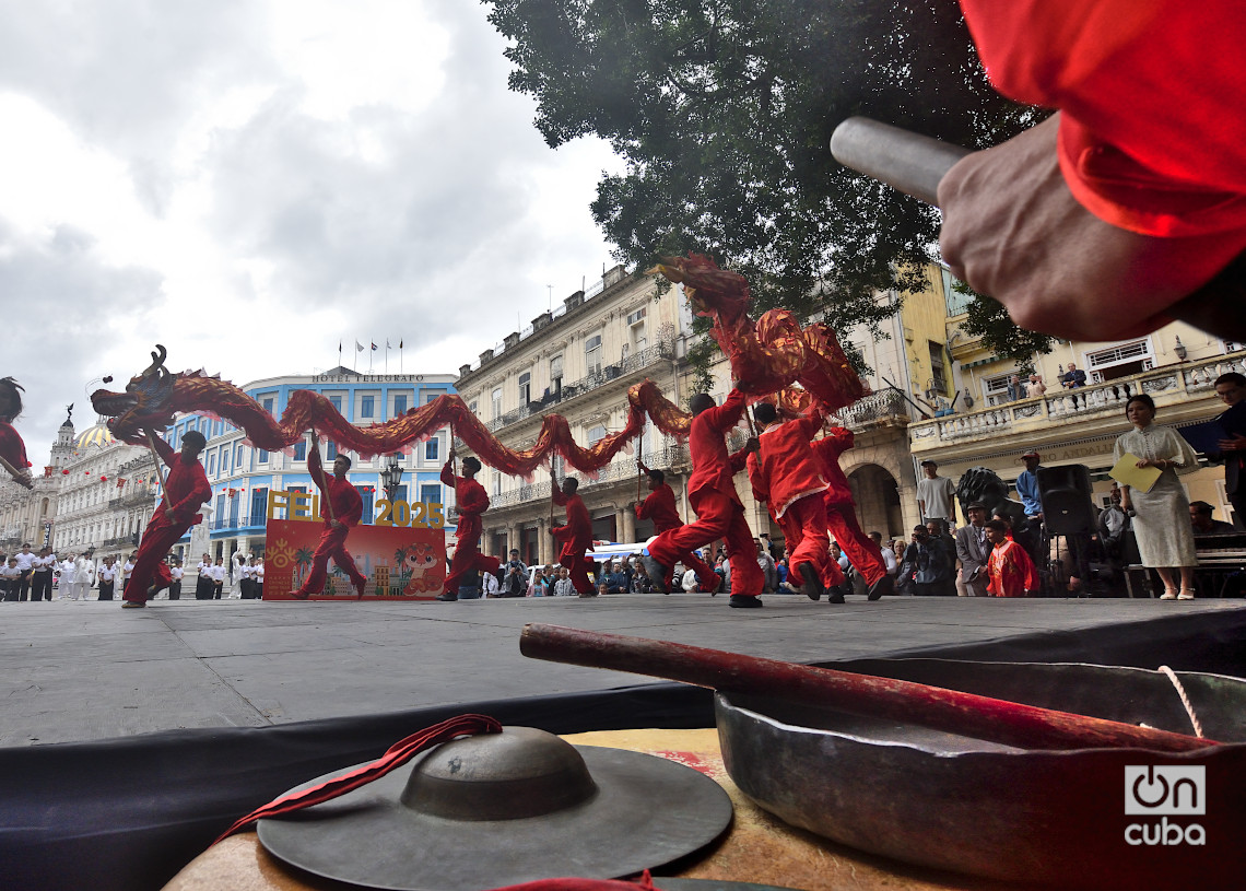 A dragon in the meadow!: China celebrates the Lunar New Year's Fair